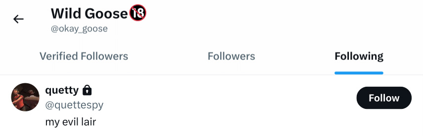 Profile Screenshot